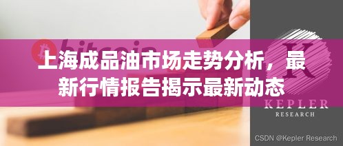 上海成品油市场走势分析，最新行情报告揭示最新动态