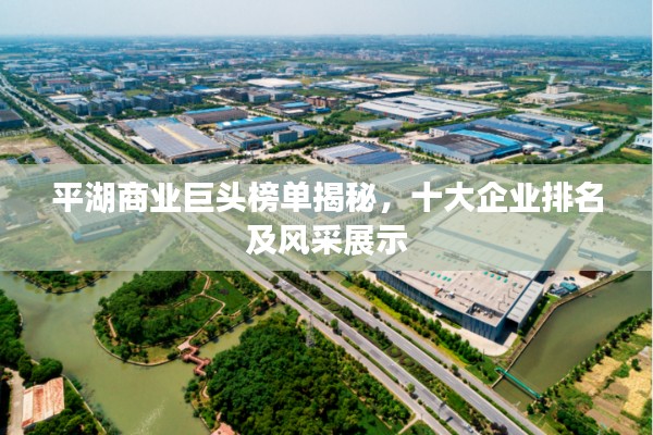 平湖商业巨头榜单揭秘，十大企业排名及风采展示