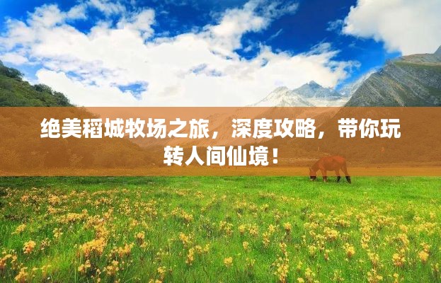绝美稻城牧场之旅，深度攻略，带你玩转人间仙境！
