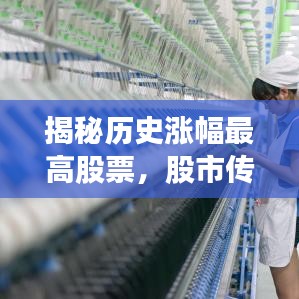 揭秘历史涨幅最高股票，股市传奇崛起之路深度探究