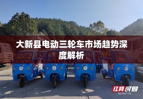 大新县电动三轮车市场趋势深度解析