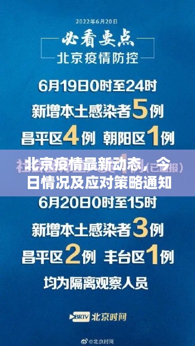 北京疫情最新动态，今日情况及应对策略通知